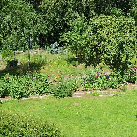 Ferienhaus In Geesthacht-Tesperhude Direkt Am Waldrand Kültér fotó