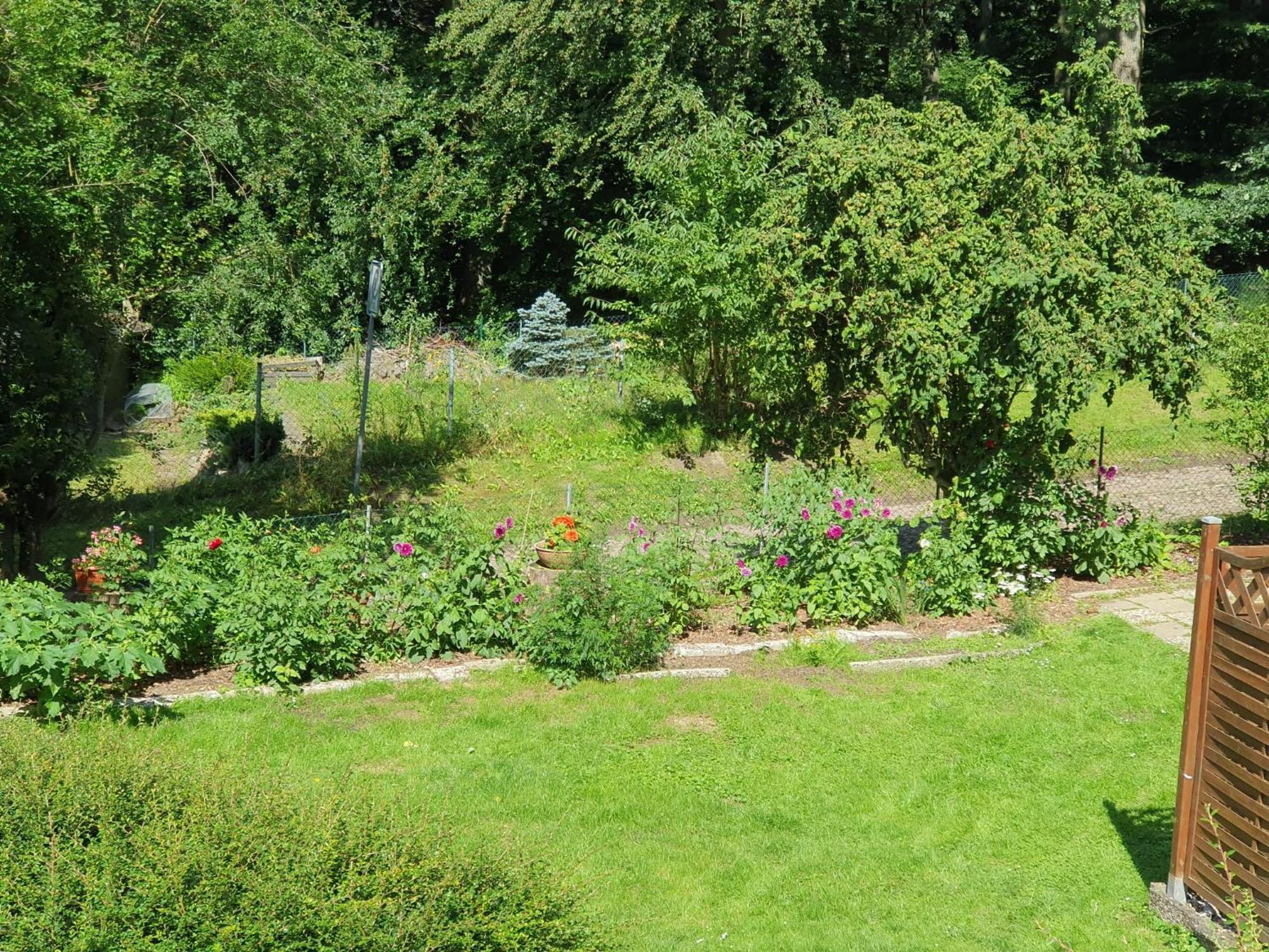 Ferienhaus In Geesthacht-Tesperhude Direkt Am Waldrand Kültér fotó