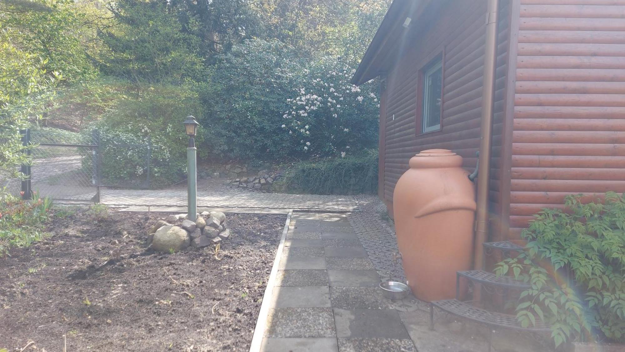 Ferienhaus In Geesthacht-Tesperhude Direkt Am Waldrand Kültér fotó