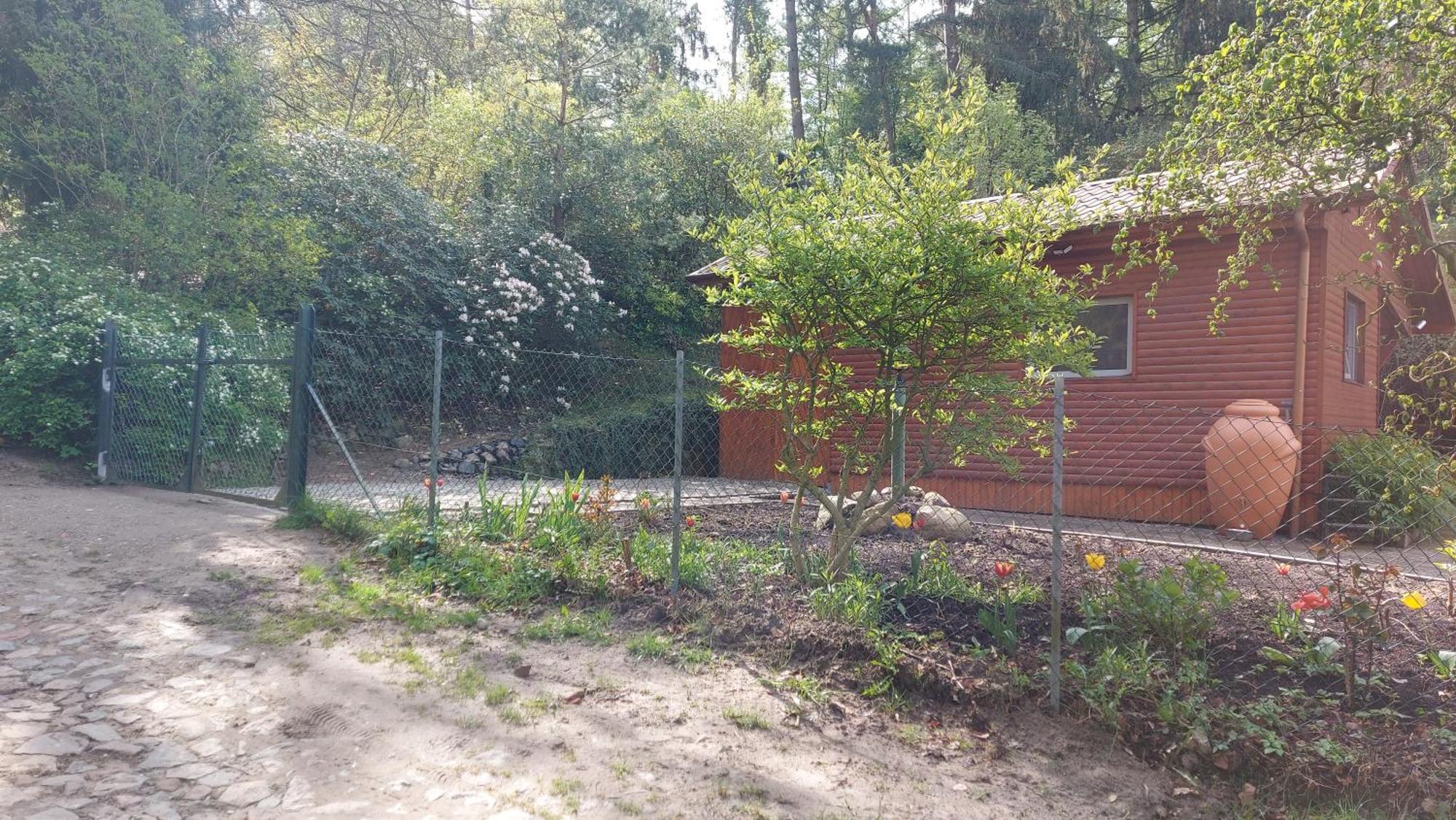 Ferienhaus In Geesthacht-Tesperhude Direkt Am Waldrand Kültér fotó
