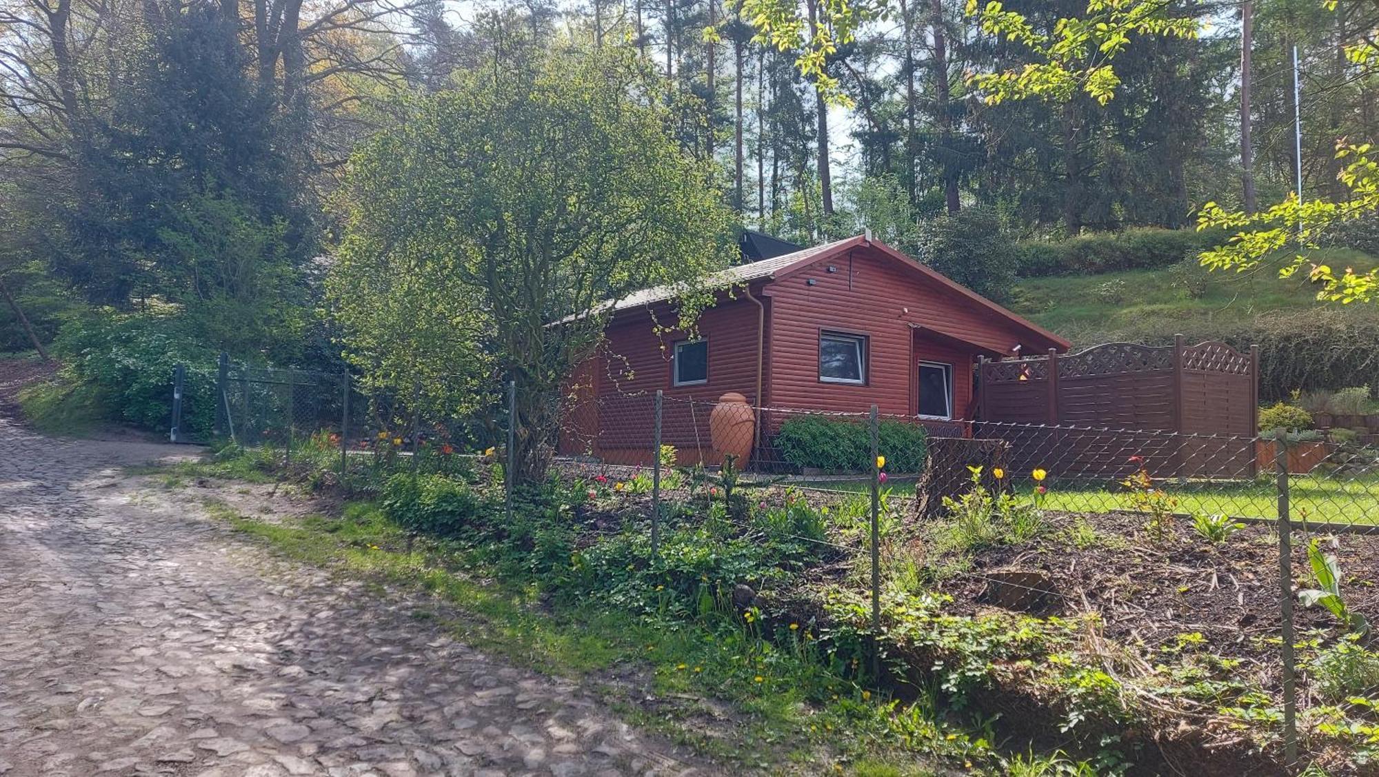 Ferienhaus In Geesthacht-Tesperhude Direkt Am Waldrand Kültér fotó
